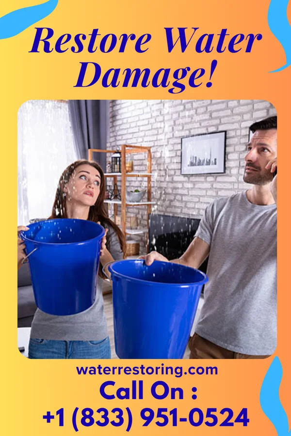 water restoration Master Water Works Force Rockville Centre