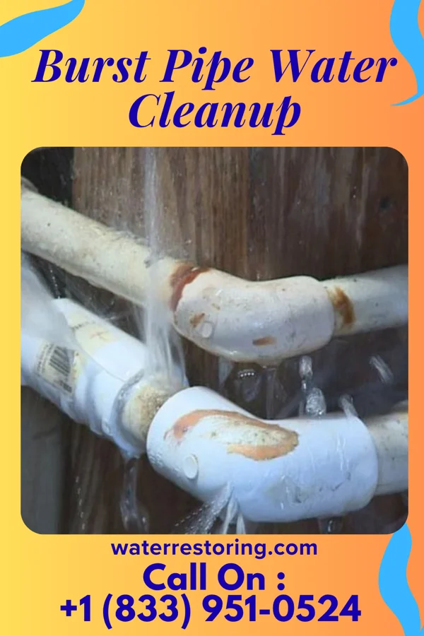Burst Pipe Water Cleanup in Rockville Centre, NY