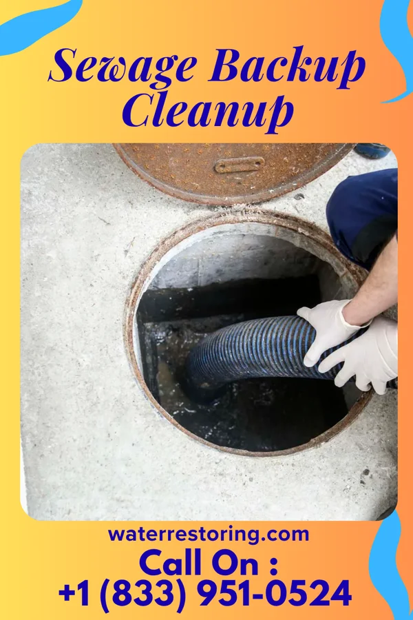 Sewage Backup Cleanup in Rockville Centre, NY
