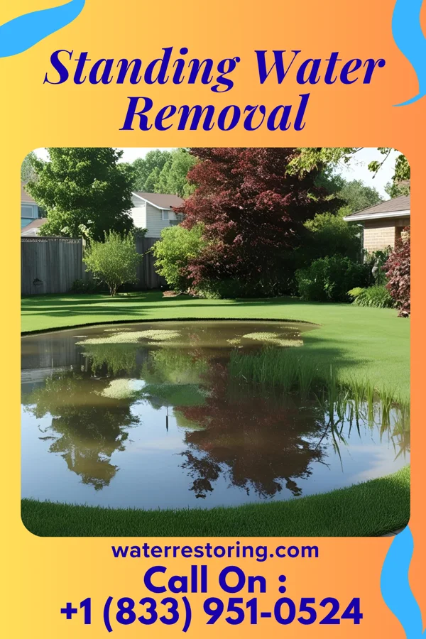 Standing Water Removal in Rockville Centre, NY